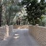 Al Qattara Oasis