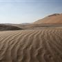 Qasr Al Sarab Desert