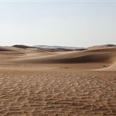Qasr Al Sarab Desert