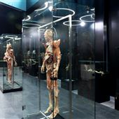 Body Museum - Khalifa University