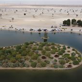 Al Wathba Lake