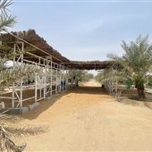 Ahmed Alali Al-Khatim Farm