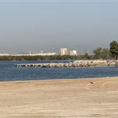 Samaliya Island - Port Option 1