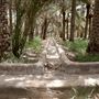 Al Ain Oasis