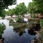 Al Ain Oasis