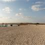 Al Hudayriat Island