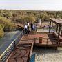 Jubail Mangrove Park