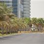 ADNEC Streets