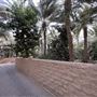Al Qattara Oasis