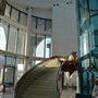 Cipriani Yas Island