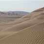 Qasr Al Sarab Desert
