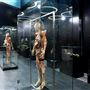 Body Museum - Khalifa University