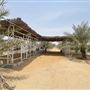 Ahmed Alali Al-Khatim Farm
