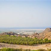 Sir Bani Yas Island