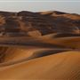 Liwa Desert (Empty Quarter)