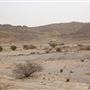 Jebel Hafeet - Wadi Tarbat