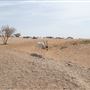 Al Ain Wildlife Park and Resort