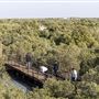 Jubail Mangrove Park