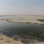 Al Wathba Wetland Reserve