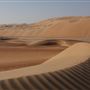 Qasr Al Sarab Desert