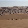 Qasr Al Sarab Desert
