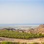Sir Bani Yas Island