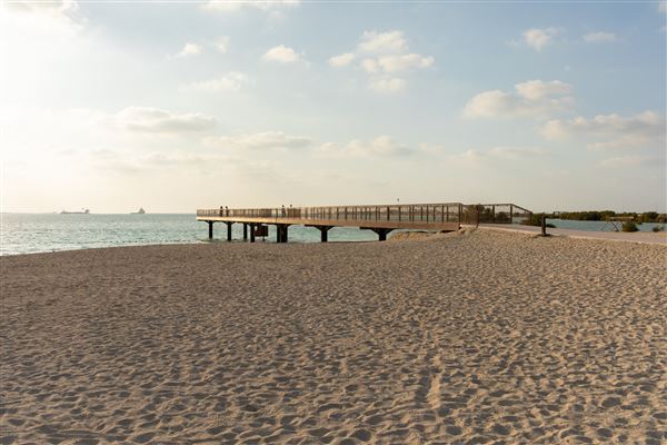 Al Hudayriat Island (1/1/2022)
