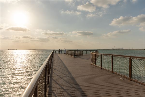 Al Hudayriat Island (1/1/2022)