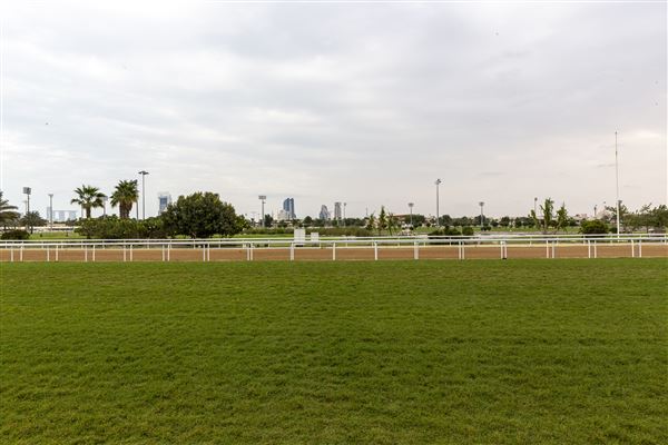 Abu Dhabi Equestrian Club (12/19/2019)