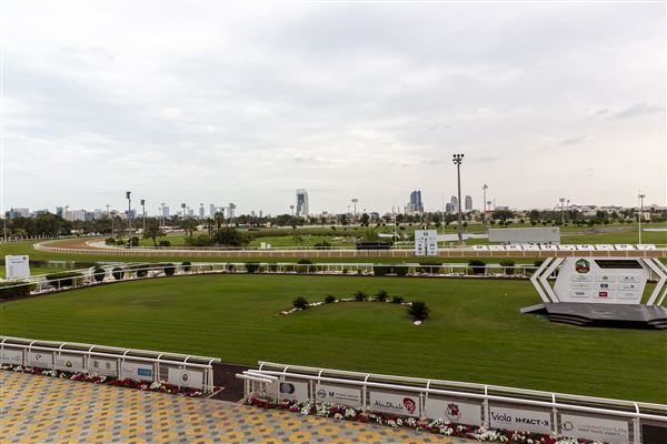 Abu Dhabi Equestrian Club (12/19/2019)