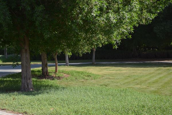 Yas Gateway Park (10/1/2022)