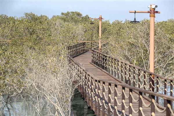 Jubail Mangrove Park (6/16/2021)