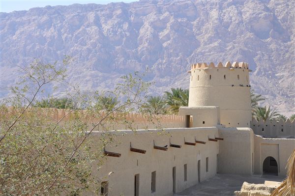 Mezyad Fort (1/27/2022)