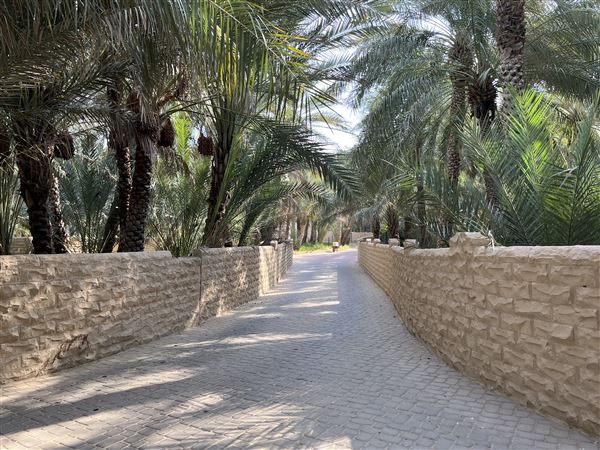 Al Qattara Oasis (9/22/2022)