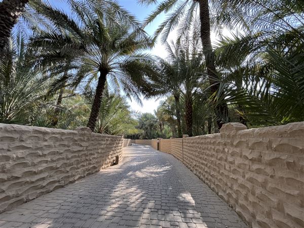 Al Qattara Oasis (9/22/2022)