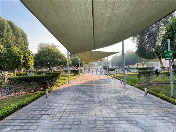 Manarat Al Saadiyat (11/1/2022)
