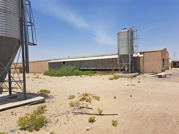 Abandoned Poultry Farm (4/1/2023 - Credits: Talal Al Dhabyani)