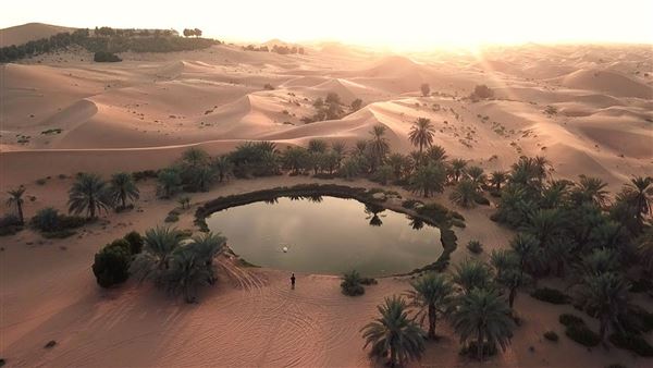 Telal Resort Al Ain (1/28/2020)