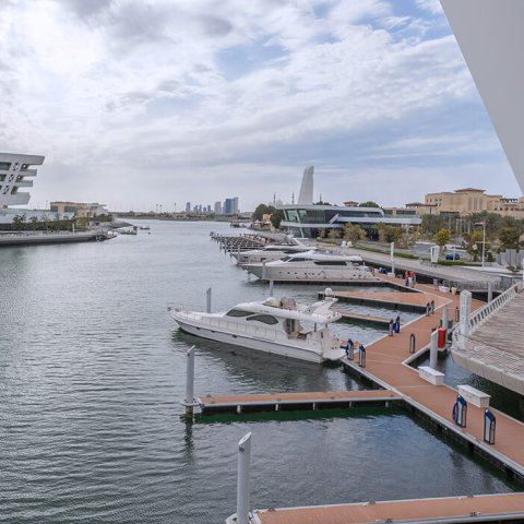 Al Qana (12/19/2023)