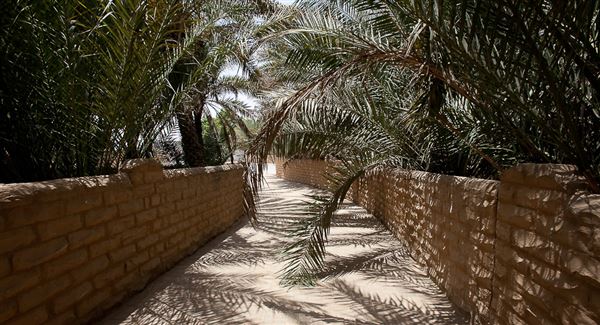 Al Ain Oasis (1/1/2022)