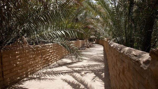 Al Ain Oasis (1/1/2022)