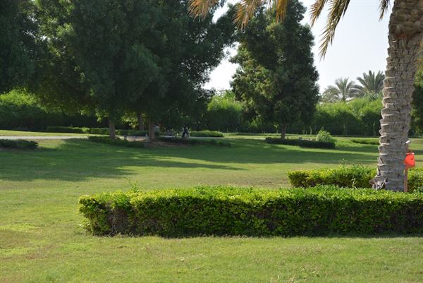 Yas Gateway Park (10/1/2022)