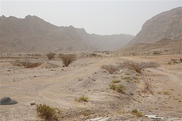 Jebel Hafeet - Wadi Tarbat (6/12/2018)