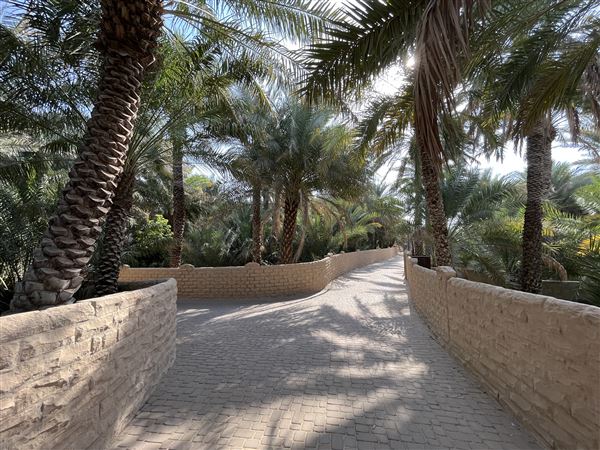Al Qattara Oasis (9/22/2022)