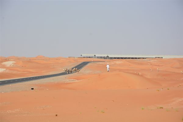 Nahel District Road (9/20/2021)