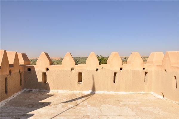 Al Ankah Fort (1/27/2022)