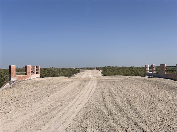 Samaliyah Island (3/8/2023)
