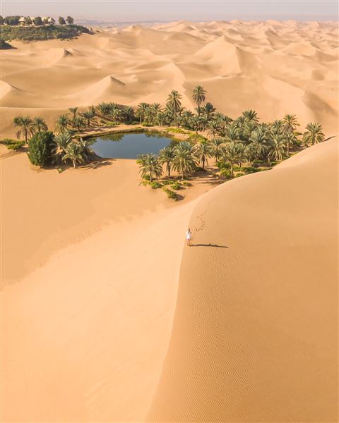Telal Resort Al Ain - Photos received from Ronalyn Vargas- Nitecka Director of Sales and Marketing - Telal Resort <ronalyn.vargas@telalresort.ae>  (6/20/2023 - Credits: Telal Resort Sales and Marketing)