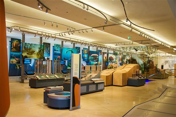 Sheikh Zayed Desert Learning Centre - SZDLC (1/1/2022)