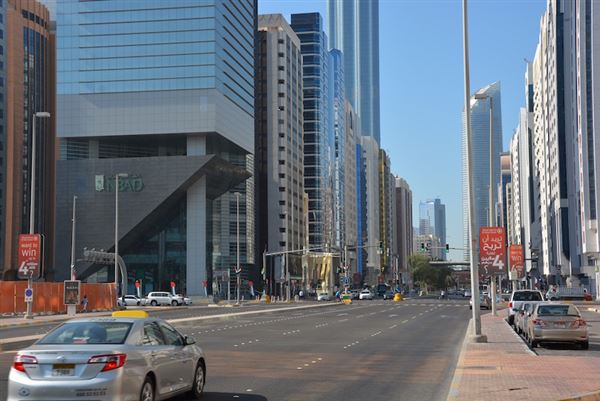 Sultan Bin Zayed the First Street (11/11/2016)